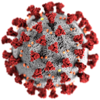 Das gemeine Sars-Virus